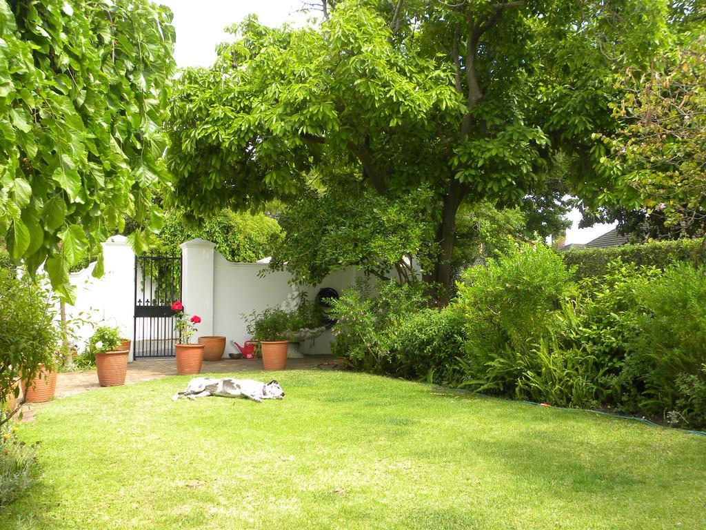 Applegarth B&B And Self-Catering Studios Cape Town Luaran gambar