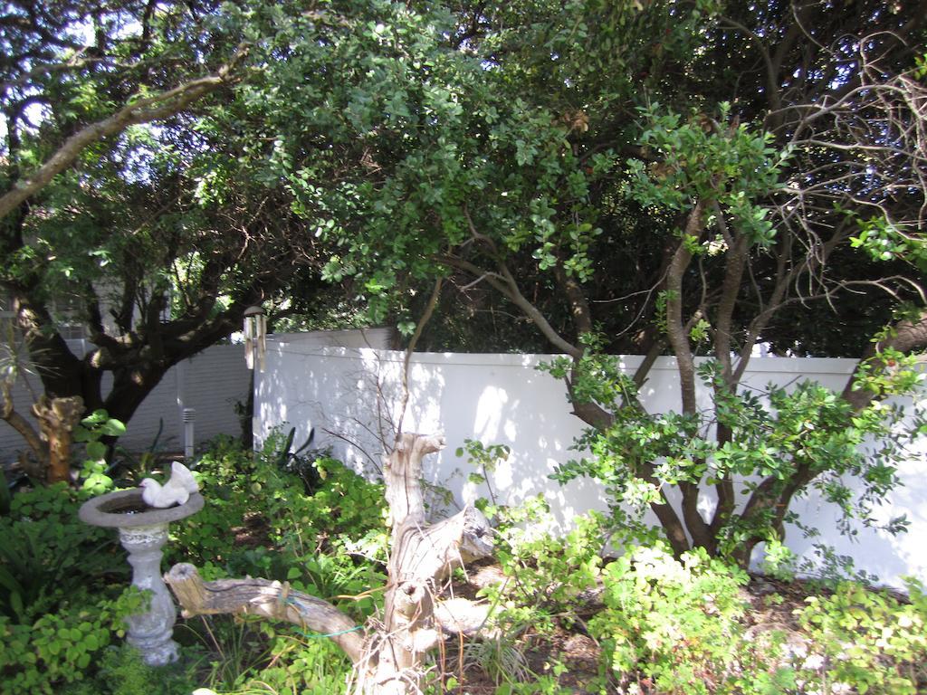 Applegarth B&B And Self-Catering Studios Cape Town Luaran gambar