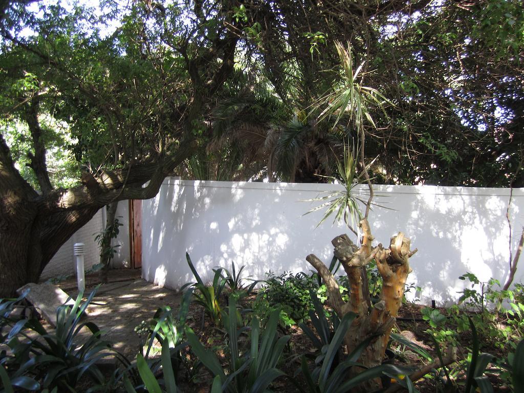 Applegarth B&B And Self-Catering Studios Cape Town Luaran gambar