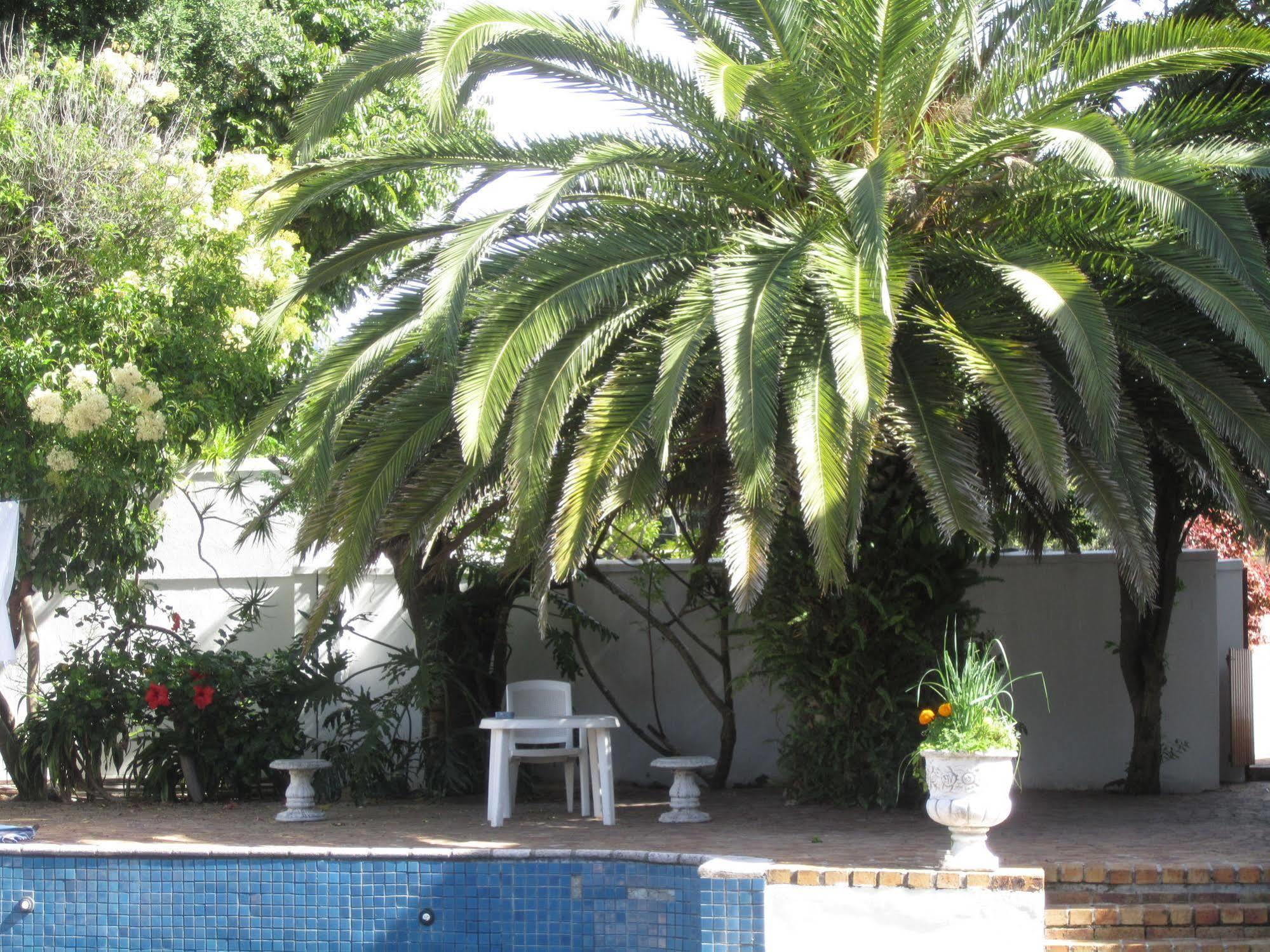Applegarth B&B And Self-Catering Studios Cape Town Luaran gambar